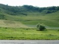 /album/szekelykal-2007-05-02/moanco-jpg/